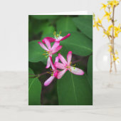 Carte Fleurs de chèvrefeuille (Fleur jaune)