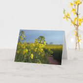 Carte Fleurs de colza à huile (Fleur jaune)