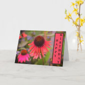Carte Fleurs de cône rouge Echinacea Joyeux anniversaire (Fleur jaune)