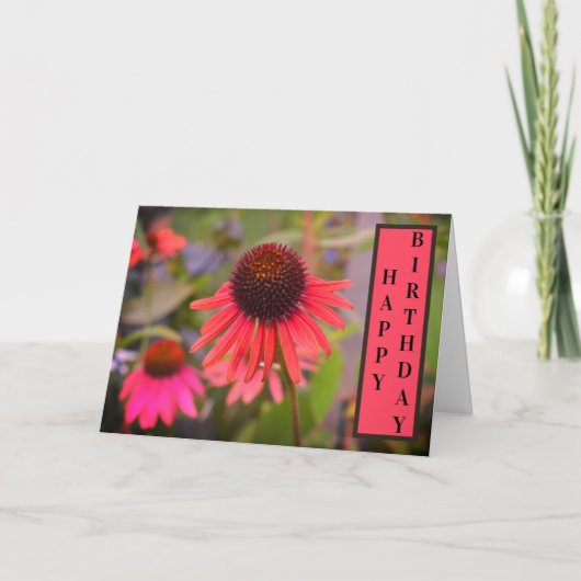 Carte Fleurs de cône rouge Echinacea Joyeux anniversaire (Devant)
