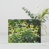 Carte Fleurs de cônes, Bute Park, Cardiff, Pays de Galle (Debout devant)