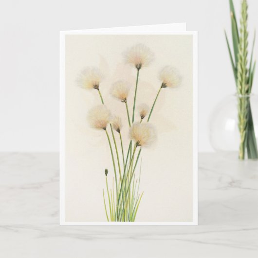 Carte Fleurs de coton (Devant)