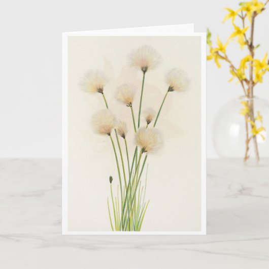 Carte Fleurs de coton (Fleur jaune)