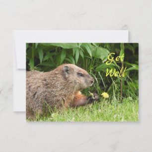 Carte Fleurs de cueillette de marmotte de fond adorables