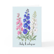 Fleurs de Delphinium de juillet Salutation