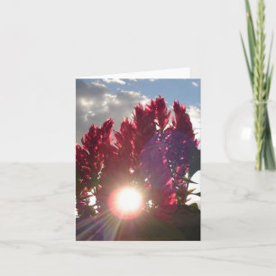 Carte Fleurs de flamme couchant - vertical