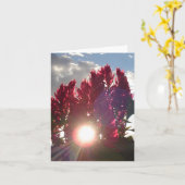 Carte Fleurs de flamme de coucher du soleil - verticale (Fleur jaune)