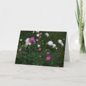 CARTE FLEURS DE FLORAISON (Devant)
