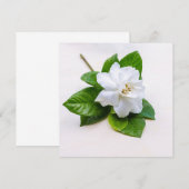 Carte Fleurs de Gardenia blanches (Devant / Derrière)