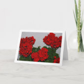 Carte Fleurs de géranium rouge, portrait floral (Devant)