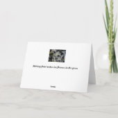 Carte Fleurs de glace (Dos)