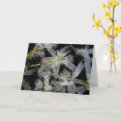 Carte Fleurs de glace (Fleur jaune)