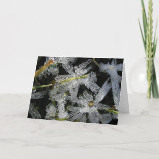 Carte Fleurs de glace