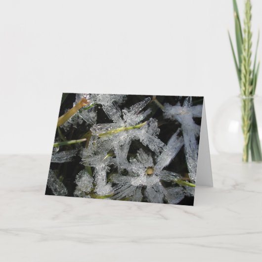 Carte Fleurs de glace (Devant)