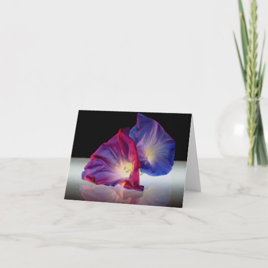 CARTE FLEURS DE GLOIRE DU MATIN (Devant)