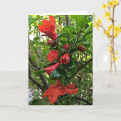 Carte Fleurs de Grenade (Fleur jaune)