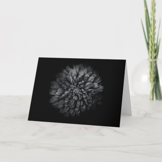 Carte Fleurs De jardin En Noir Et Blanc No 68 (Devant)