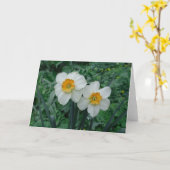 Carte Fleurs de jonquille (Fleur jaune)