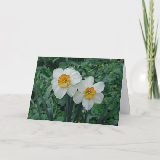 Carte Fleurs de jonquille (Devant)