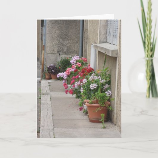 Carte Fleurs de la France (Devant)