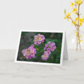 Carte Fleurs de Lantana violettes et jaunes (Fleur jaune)