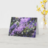 Carte Fleurs de lavande (Fleur jaune)