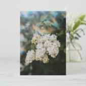 Carte Fleurs de Lilas Blanc avec Éclat Arc-en-Ciel (Debout devant)