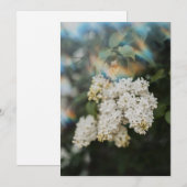 Carte Fleurs de Lilas Blanc avec Éclat Arc-en-Ciel (Devant / Derrière)