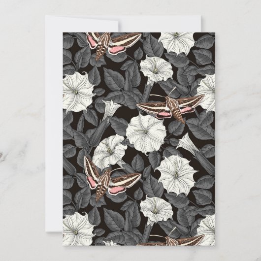 Carte Fleurs de lune et sphinx Moths 2 (Devant)