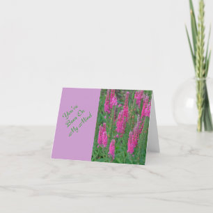 CARTE FLEURS DE LUPINE COULEUR MAGENTA