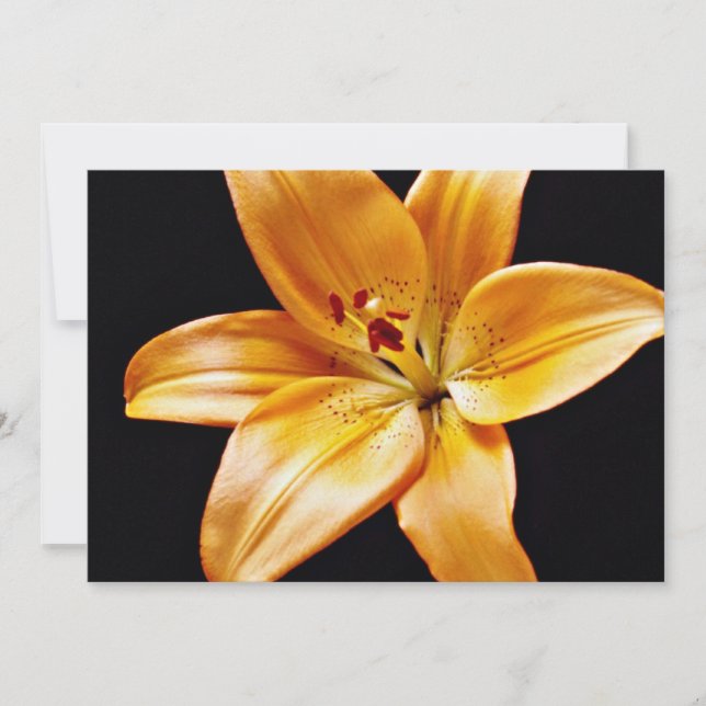 Carte Fleurs de lys orange (Devant)