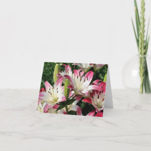 Carte Fleurs de Lys Souriants Photographie Note
