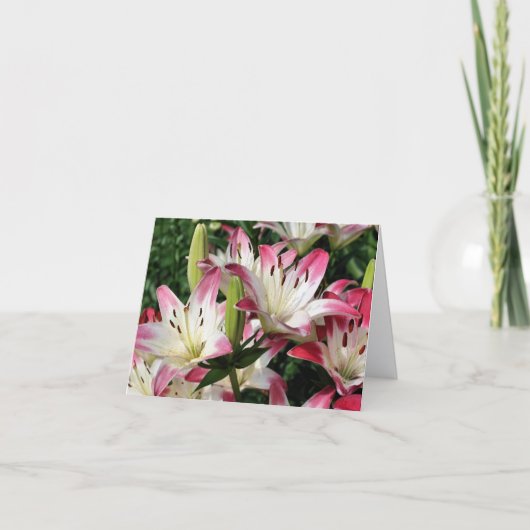 Carte Fleurs de Lys Souriants Photographie Note (Devant)