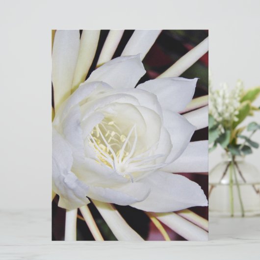 Carte Fleurs de nuit (Debout devant)