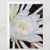 Carte Fleurs de nuit (Devant / Derrière)