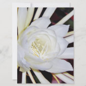 Carte Fleurs de nuit (Devant)