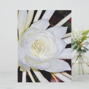 Carte Fleurs de nuit