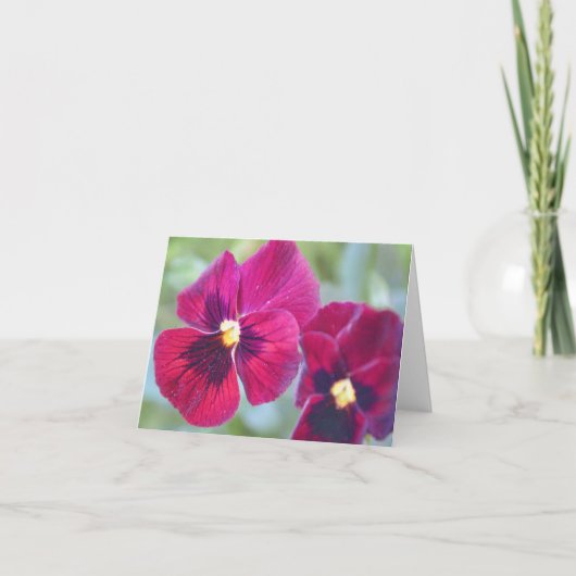 Carte Fleurs de Pansy Magenta du jardin de Gertie (Devant)