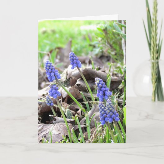 Carte - Fleurs de Pâques (Devant)