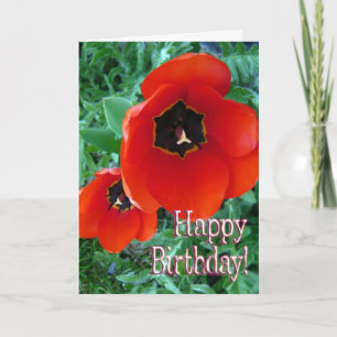Carte Fleurs de pavot - Joyeux anniversaire!