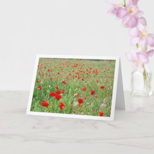 Carte Fleurs de pavot rouge