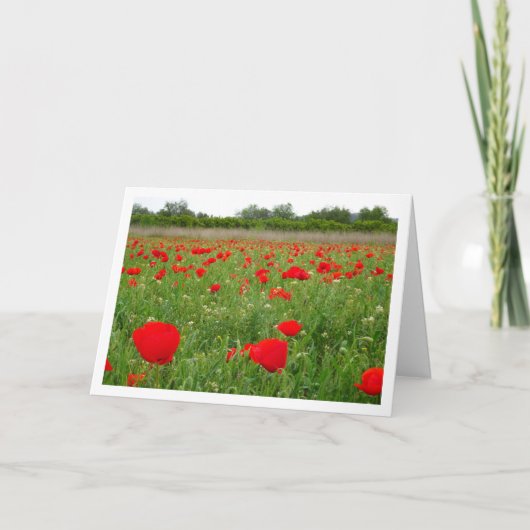Carte Fleurs de pavot rouge (Devant)