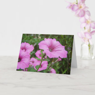 Carte Fleurs de pétunia pourpre et feuillage vert