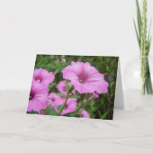 Carte Fleurs de pétunia pourpre et feuillage vert (Devant)