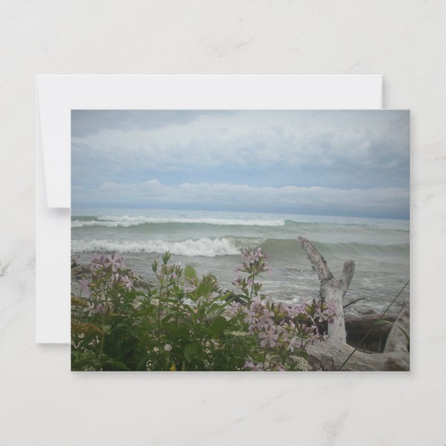 Carte Fleurs de plage (Devant)