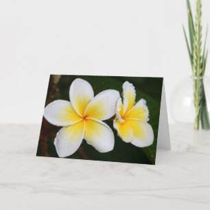 Carte Fleurs de Plumeria