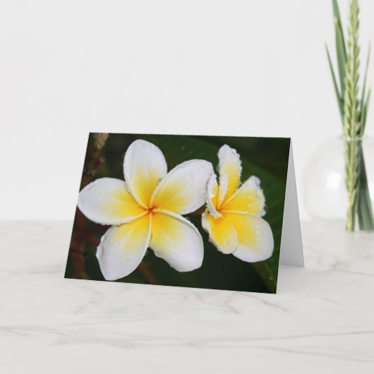Carte Fleurs de Plumeria (Devant)