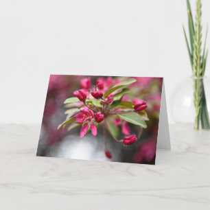 Carte Fleurs de pomme de crabe rouge