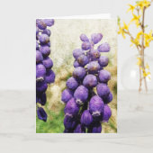 Carte Fleurs de printemps (Fleur jaune)