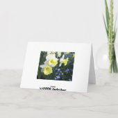 Carte Fleurs de printemps (Dos)